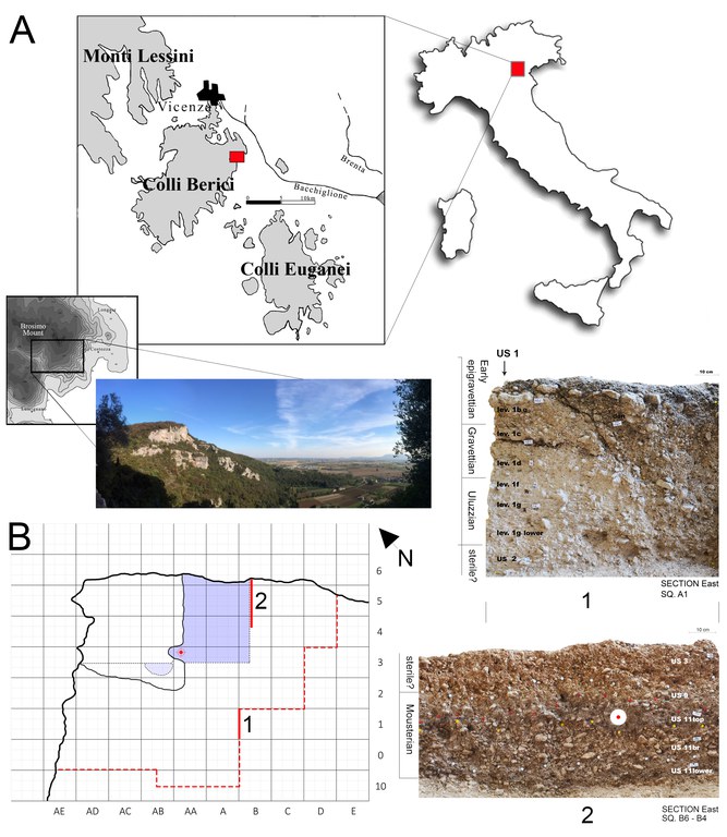 Figure 1.tif