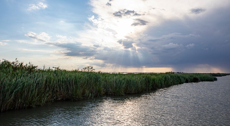 Acquacoltura e biodiversità marina | Ricerca Unife premiata dal Fondo europeo per affari marittimi e pesca