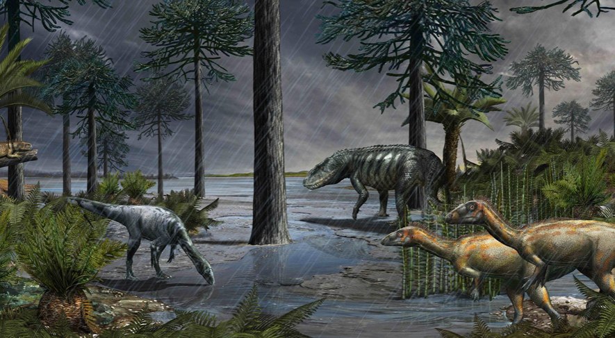 Paleontologia | Anche in video l'estinzione che plasmò gli ecosistemi moderni. Da una ricerca con contributo Unife