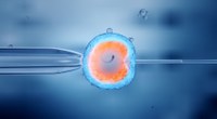 Fecondazione assistita e virus | Unife partecipa alla stesura delle linee guida europee