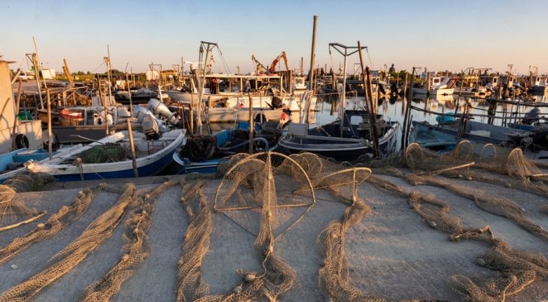 Biodiversità marina | Unife insieme ai pescatori per la salvaguardia di mare, pesca e acquacoltura nelle lagune