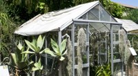 Interno Verde 2021 | Unife partecipa con l’Orto botanico e innovazioni per un futuro più “green”