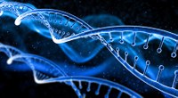 Genetica | Unife partecipa alla stesura delle linee guida per il sequenziamento dell’intero genoma in diagnostica
