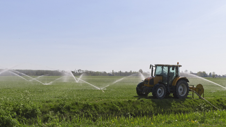 Agroindustria e ricchezza del territorio | Unife converte lo scarto in valore sostenibile