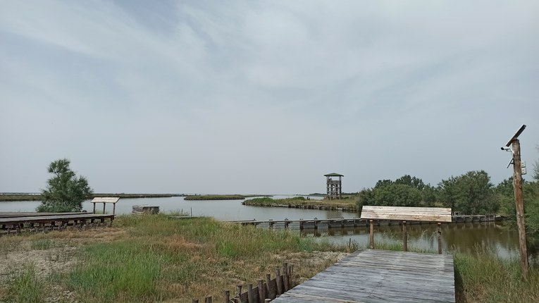 Interreg VALUE | Unife propone laboratori di archeologia nel Museo Open Air di Comacchio