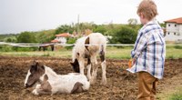 Crescita e infanzia | Città o campagna, l'ambiente non influenza più la statura. Su Nature lo studio a partecipazione Unife