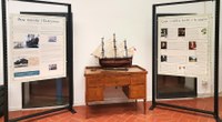 I tesori botanici delle terre australi in mostra a Unife | Un viaggio con James Cook tra erbari di specie esotiche e acquerelli