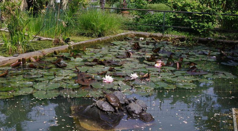 Interno Verde 2024 | Anche Unife alla manifestazione che apre i giardini della città