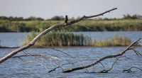 Ecosister | Al via le candidature per identificare soluzioni innovative alle sfide di transizione ecologica