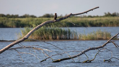 Ecosister | Innovazione e sostenibilità per affrontare le sfide del territorio