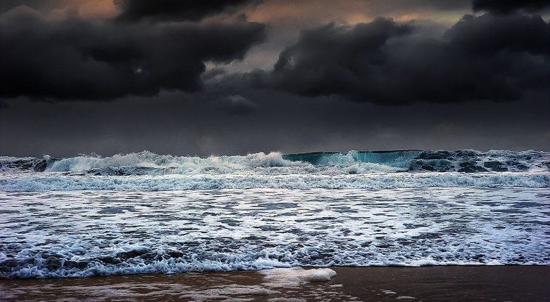 "The Tempest" | Da un progetto Unife e Comune di Ferrara la mostra degli elaborati di studentesse e studenti ispirati a Shakespeare