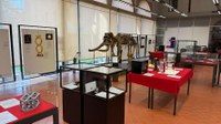 Art&Science Across Italy | A Unife nuova tappa della mostra che avvicina ragazze/i alla scienza attraverso l'arte