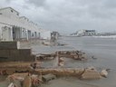 IMG_4317.jpeg