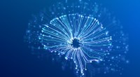 IA@UniFE | Il nuovo centro strategico di Ateneo per l’Intelligenza Artificiale