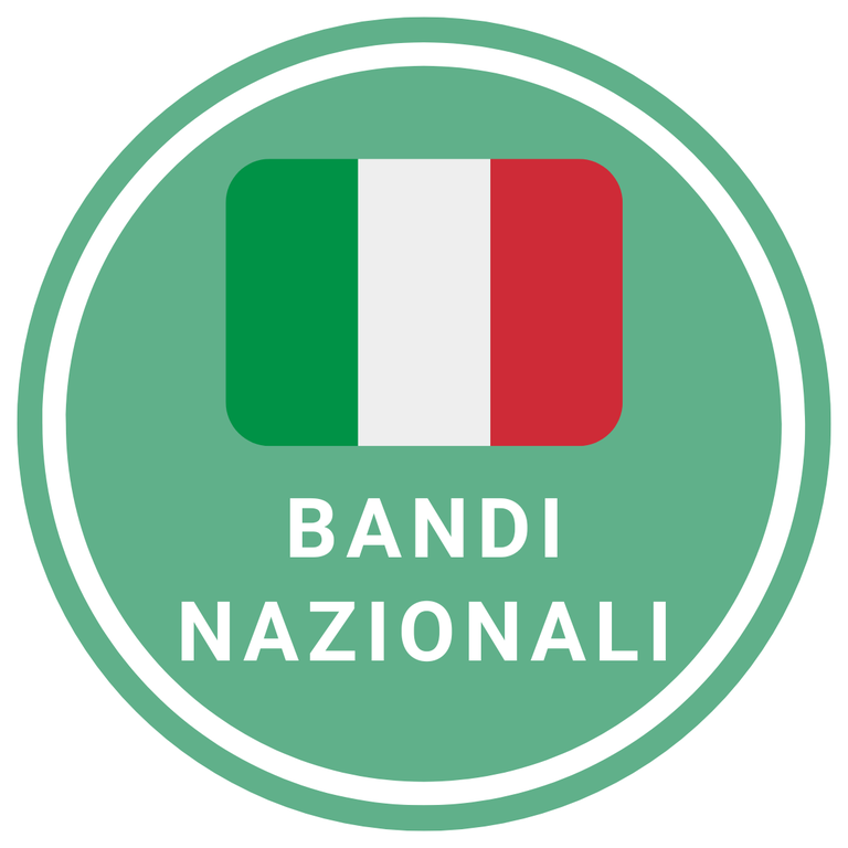 Bandi_Naz.png